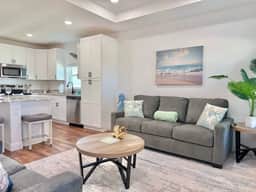 Sand Dollar on Carmalita